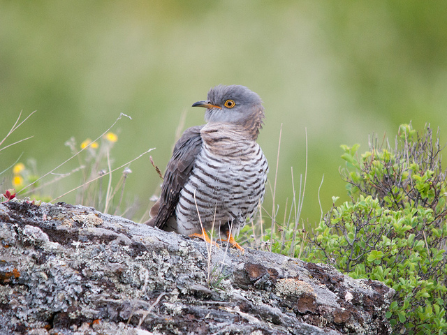 7846794344_6527be2381_z